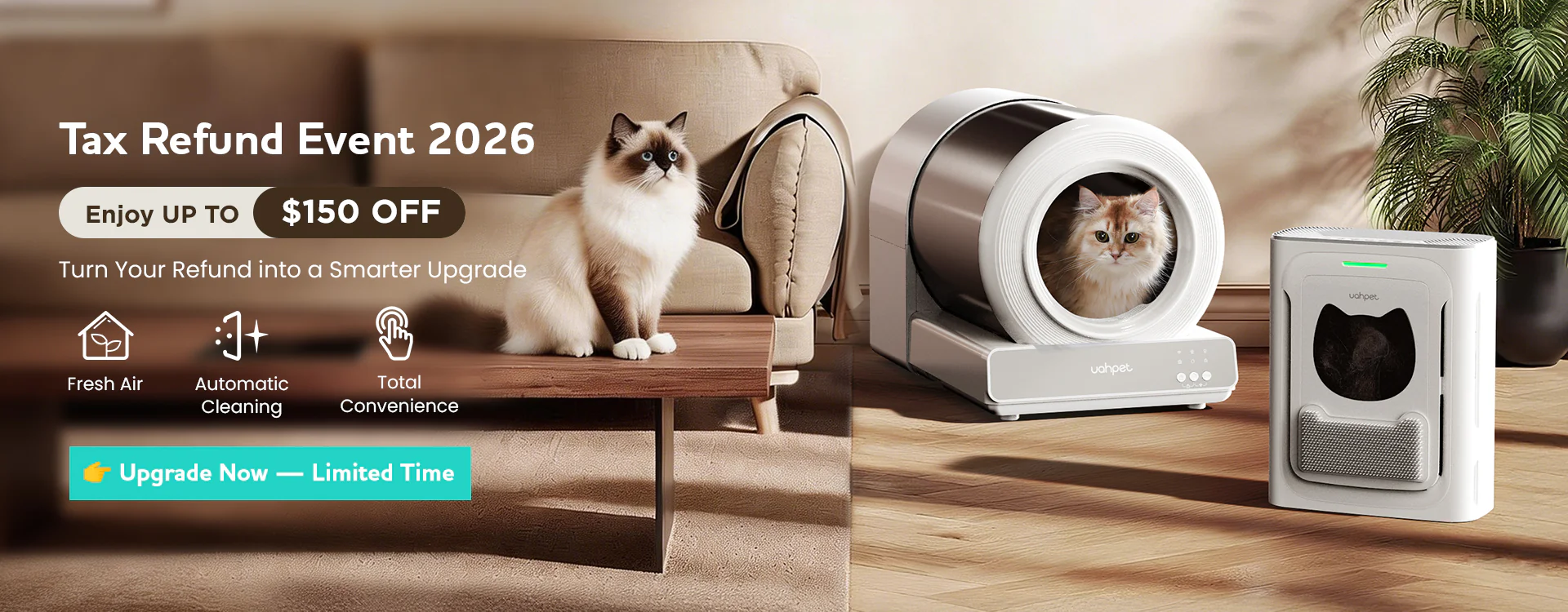 Elevate Your Pet's Daily Lifestyle